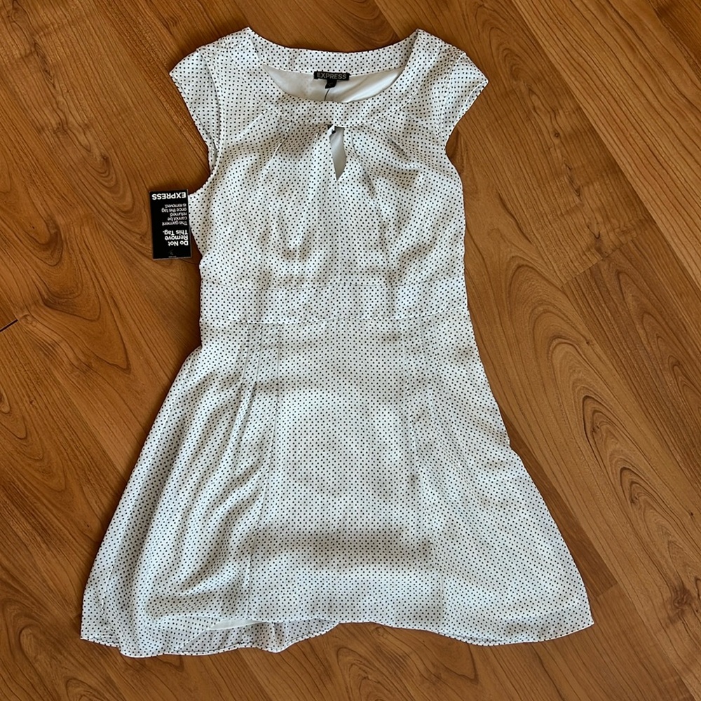 NWT Express Dress